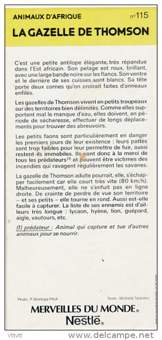 Fiche Cartonnée, NESTLE "Merveilles Du Monde", LA GAZELLE DE THOMSON, N° 115, "Animaux D'Afrique" - Chocolat