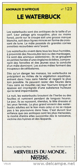 Fiche Cartonnée, NESTLE "Merveilles Du Monde", LE WATERBUCK, N° 123, "Animaux D'Afrique" - Schokolade