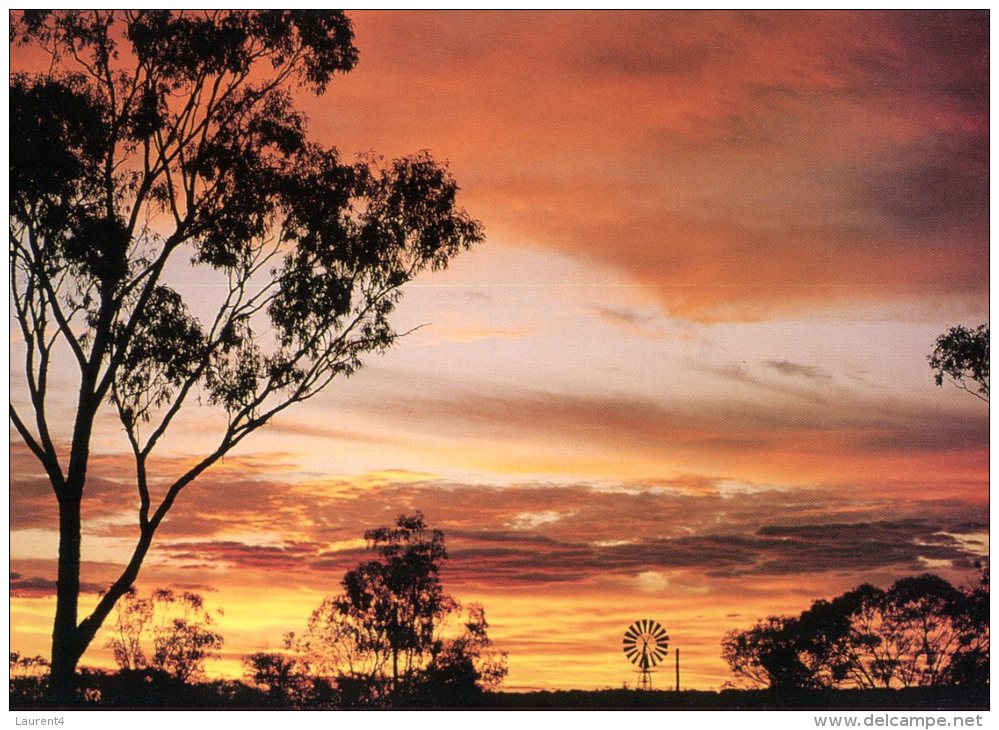 (579) Australia - Bush Sunset - Outback