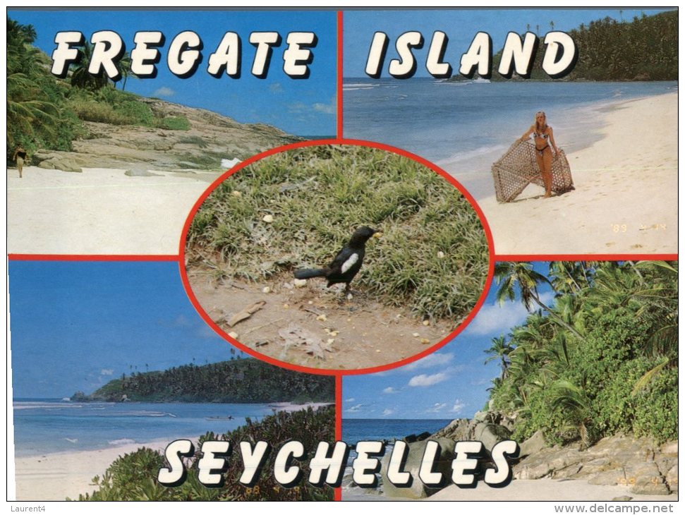 (231) Seychelles Islands (birds) - Seychellen