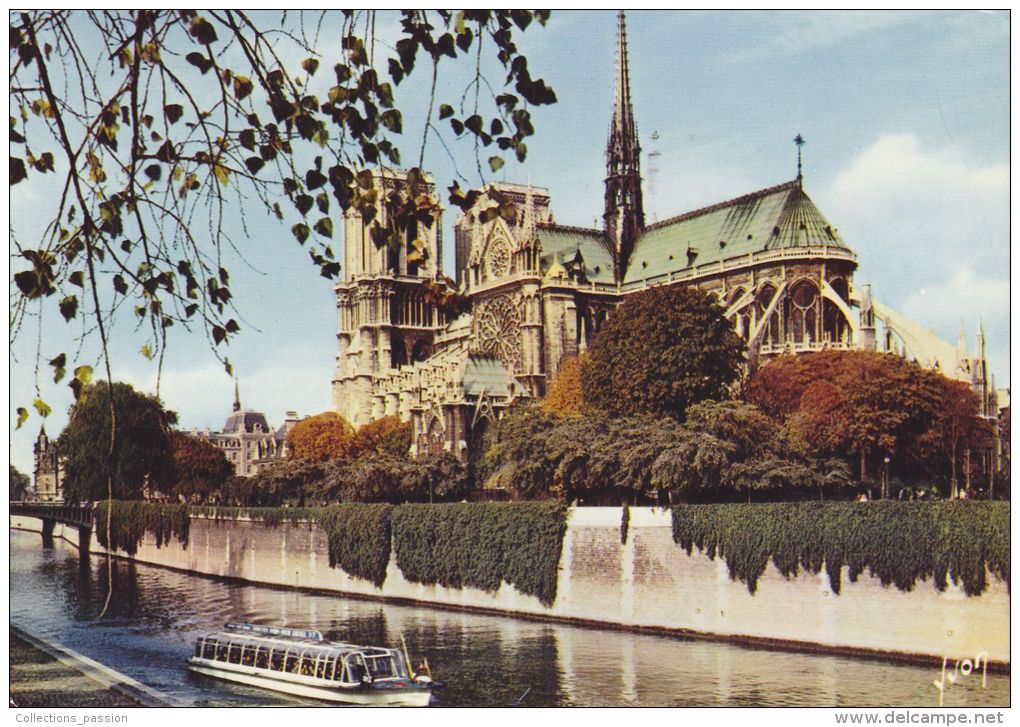 Cp , 75 , PARIS , Notre-Dame , Les Bords De Seine , Vue Du Quai De Montebello - Eglises