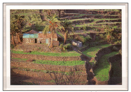 La Gomera , Casa Vieja En Las Rosas - Gomera