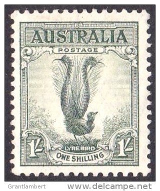 Australia 1937 Lyrebird 1 Shilling (small) MH  SG 174 - Mint Stamps
