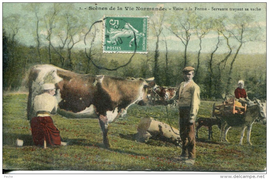 N°34728 -cpa Scènes De La Vie Normande -visite à La Ferme- - Elevage