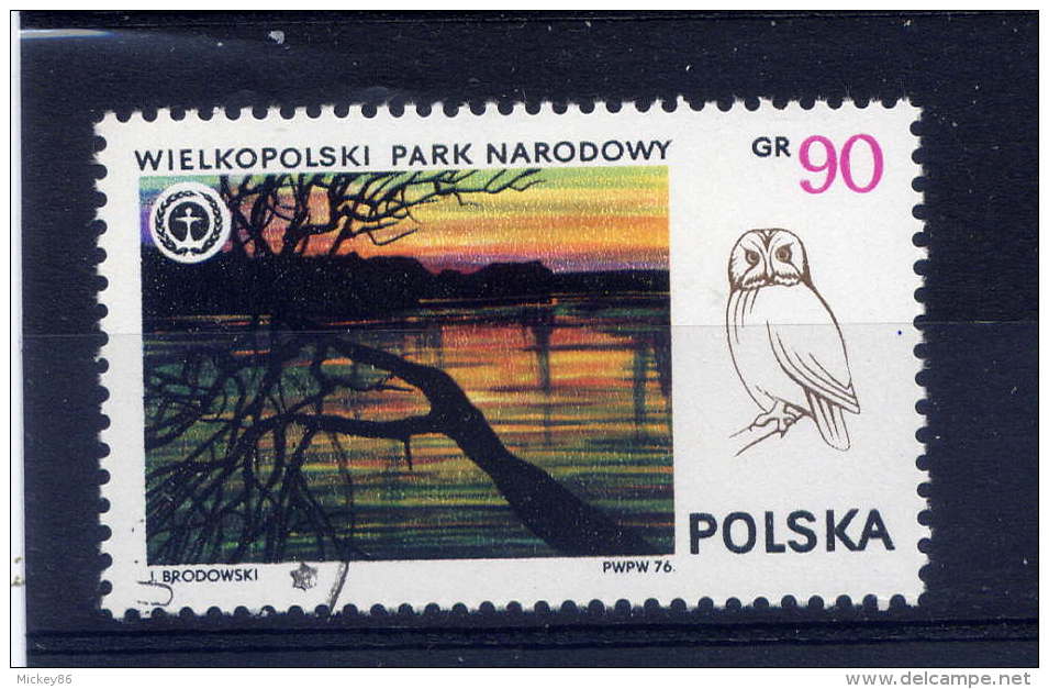 Hiboux Et Chouettes---POLOGNE--Wielkopolski Park Narodowy--Gr 90--- - Owls