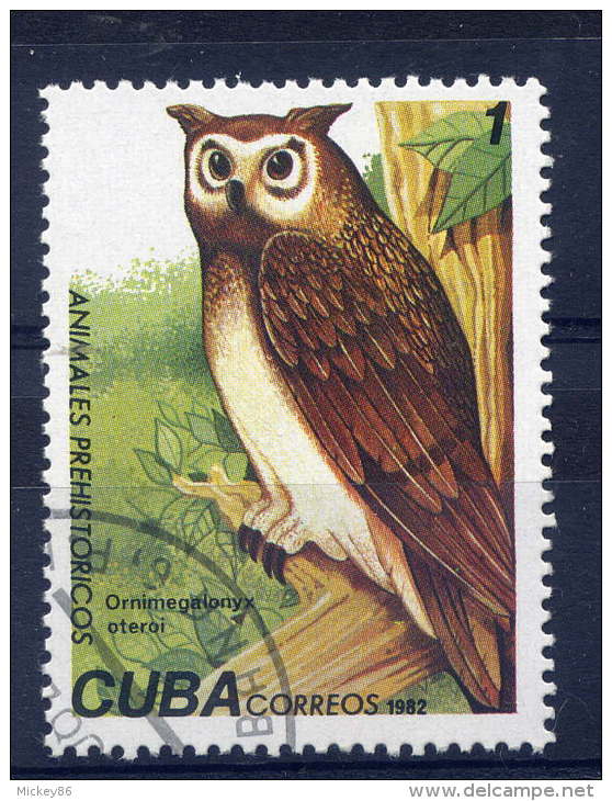 Hiboux Et Chouettes---CUBA--Animaux Préhistoriques--Ornimegalonyx Oteroi - Owls