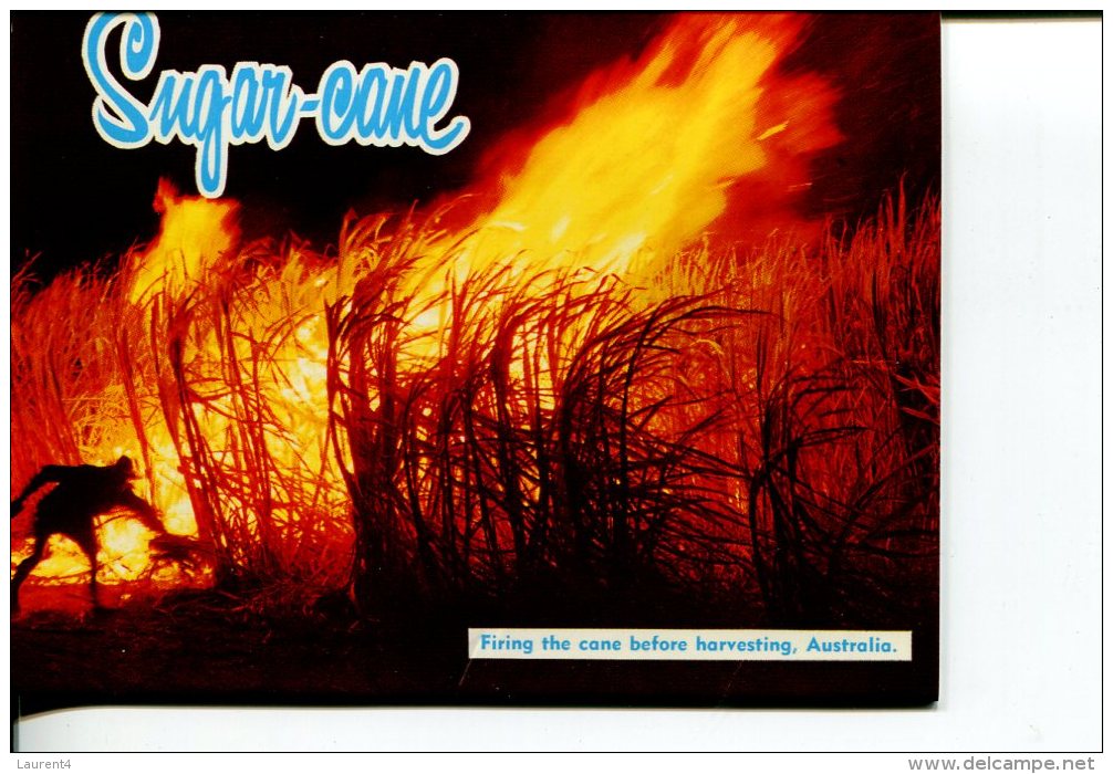 (folder 30) Postcard Booklet - Livret De Carte - QLD - Sugar Cane Harvest - Outback
