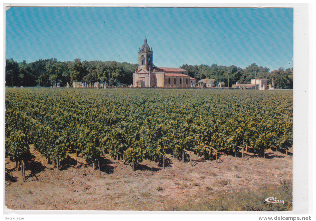 CPM MARGAUX(33)neuve-l'église Et Les Vignobles - Margaux