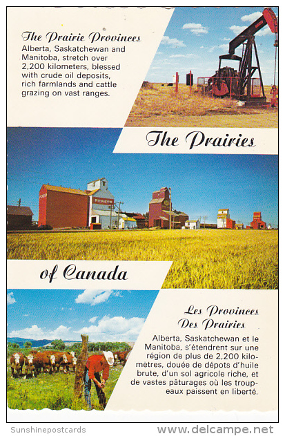 Canada The Prairies Of Canada Alberta Saskatchewan And Manitoba - Autres & Non Classés