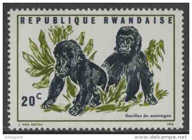 Ruanda Rwanda 1970 Mi 400 A YT 370 ** Gorilla Gorilla Beringei – Gorillas Of The Mountains / Berggorilla - Gorilla's