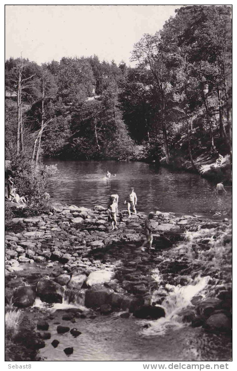 CPSM SAINT DIDIER EN VELAY LES BORDS PITTORESQUES DE LA SEMENE - Saint Didier En Velay