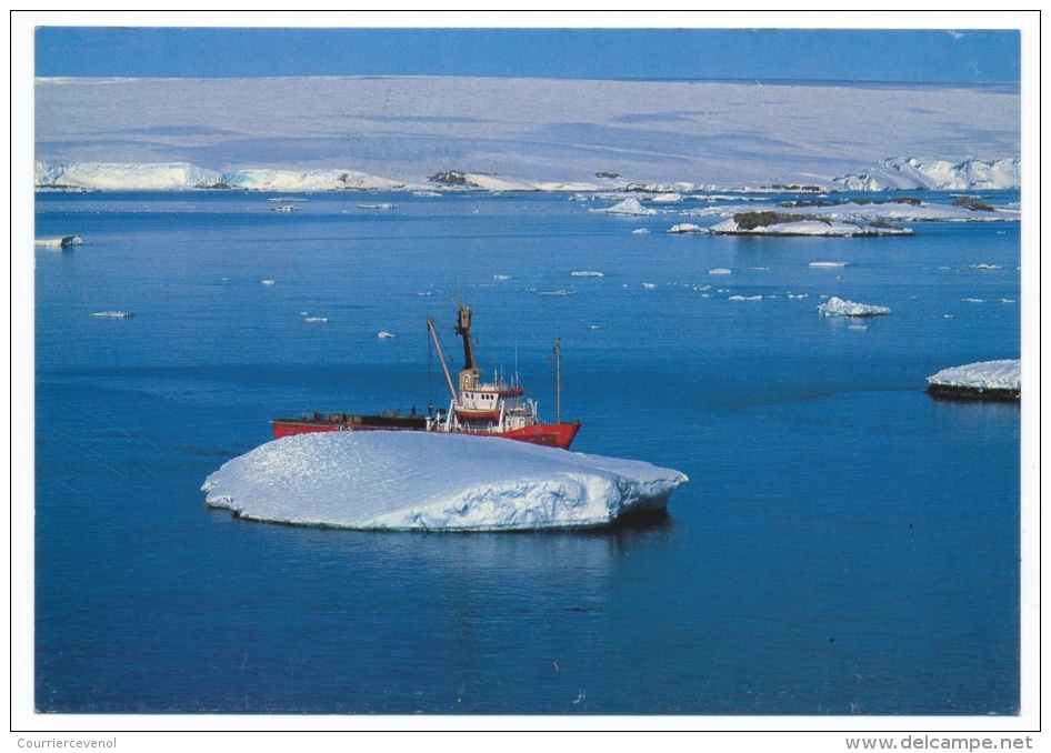 12 CPM Diverses - ILES KERGUELEN / Terres Australes TAAF - Photos André Fatras - TAAF : Terres Australes Antarctiques Françaises