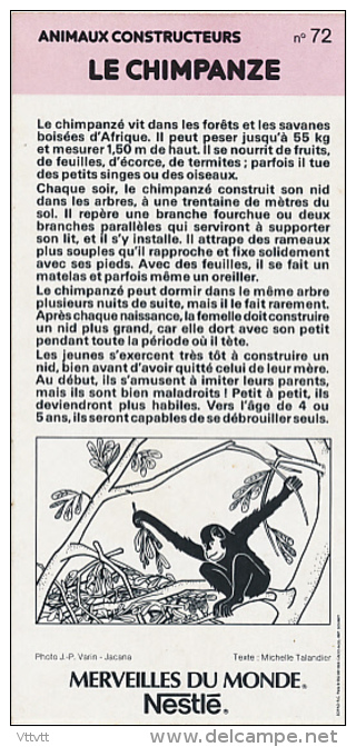 Fiche Cartonnée, NESTLE "Merveilles Du Monde", LE CHIMPANZE, N° 72, "Animaux Constructeurs", Singe - Chocolade