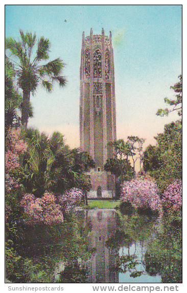 The Singing Tower Lake Wales Florida Albertype - American Roadside