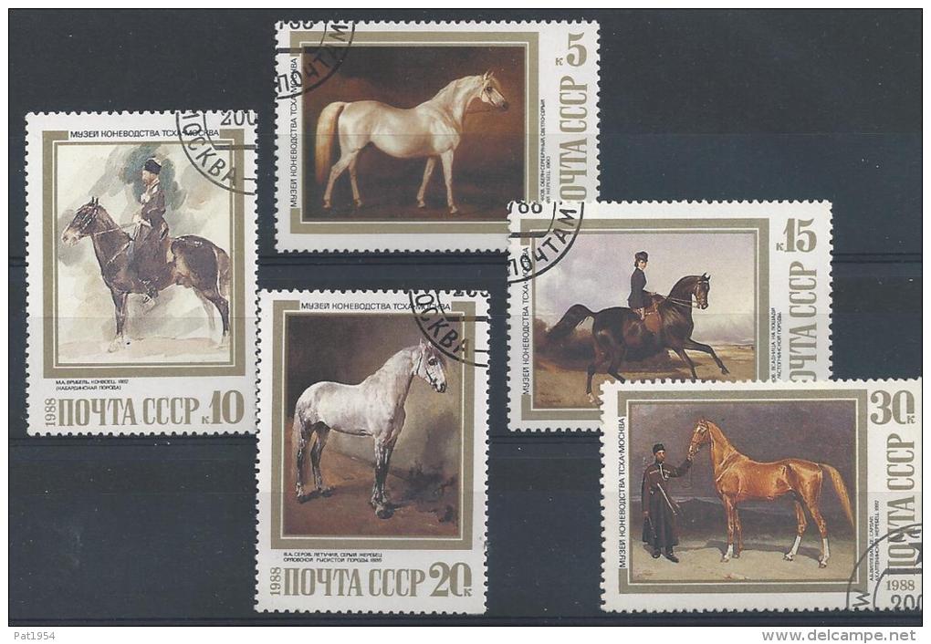 Russie, Joli Lot De Chevaux - Chevaux