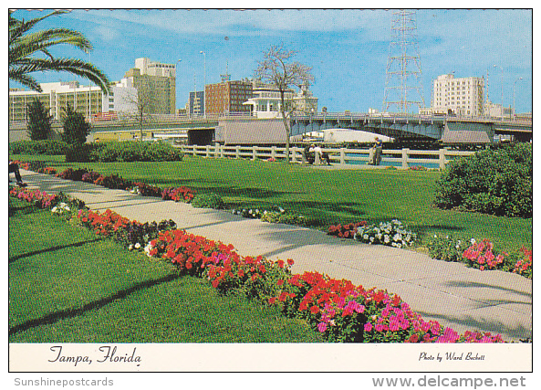 Skyline Of Tampa Florida - Tampa