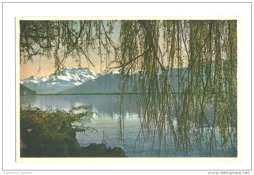 Cp, Suisse, Lac Léman Et Les Dents Du Midi - Sonstige & Ohne Zuordnung