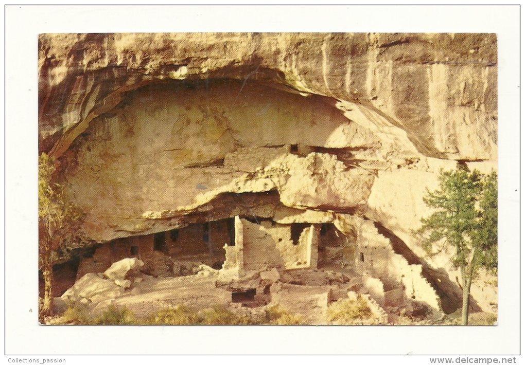 Cp, Etats-Unis, Mesa Verde National Park, Oak Tree House - Altri & Non Classificati