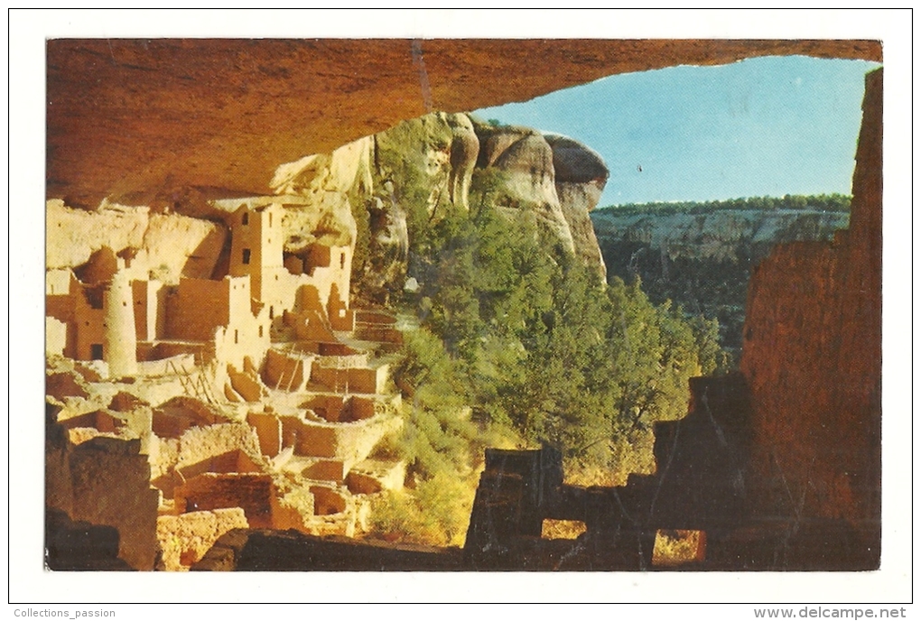 Cp, Etats-Unis, Mesa Verde National Park, Cliff Palace - Sonstige & Ohne Zuordnung