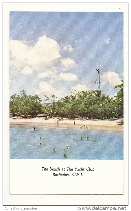 Cp, Barbades, The Beach At The Yacht Club - Barbados (Barbuda)