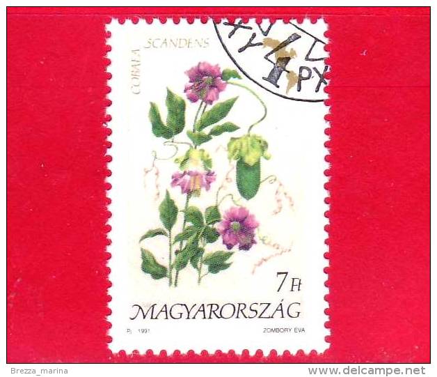 UNGHERIA - MAGYAR - 1991 - Flora D'America  - Fiori - Flowers - Cobabaea Scandens - 7 - Usati