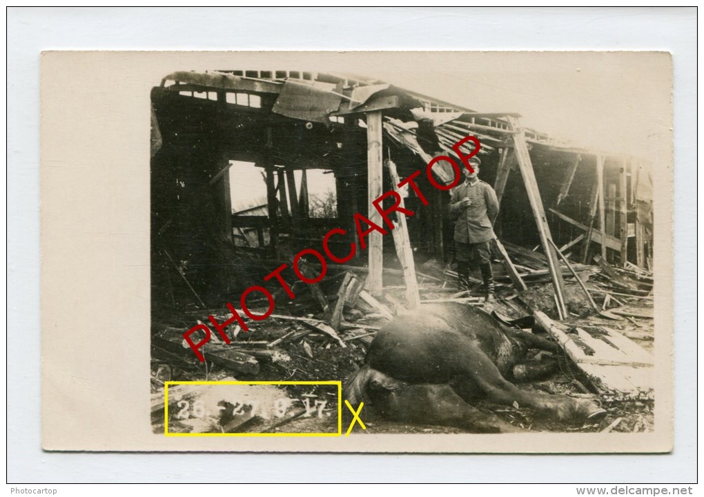 HOOGLEDE-Cadavres De Chevaux-Attaque Du 26-27-8/9-17-2 X Cartes Photo Allemandes-Guerre 14-18-1WK-BELGIQUE-BELGIEN-Fland - Hooglede