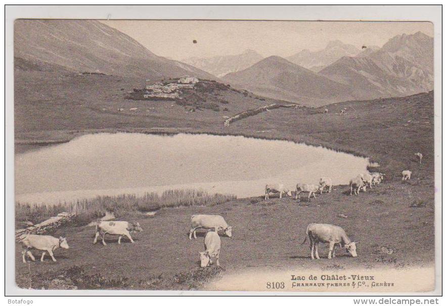 CPA LAC DU CHALET VIEUX En 1909!! - Autres & Non Classés