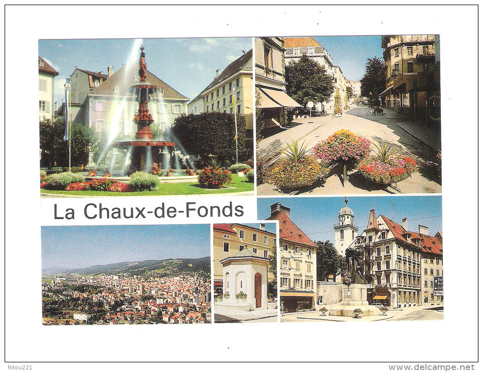 Suisse - La Chaux De Fonds - Multivues - Fontaines Avec Tortues Statue - Turtle Tortue - Tartarughe