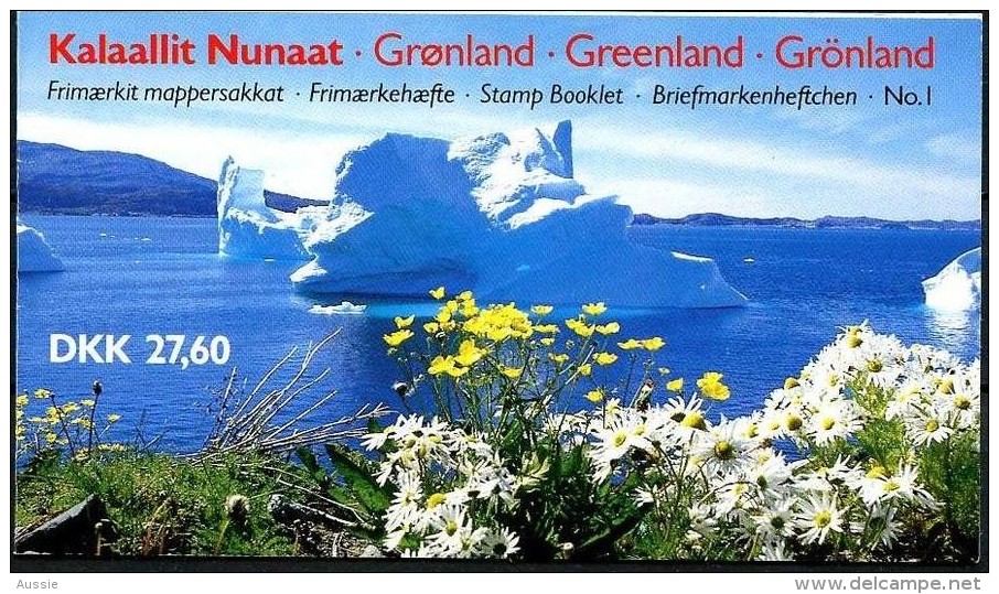 Groenland 1989 Yvertn° Carnet C177 *** MNH Cote 100 Euro Reine Margrethe II - Booklets