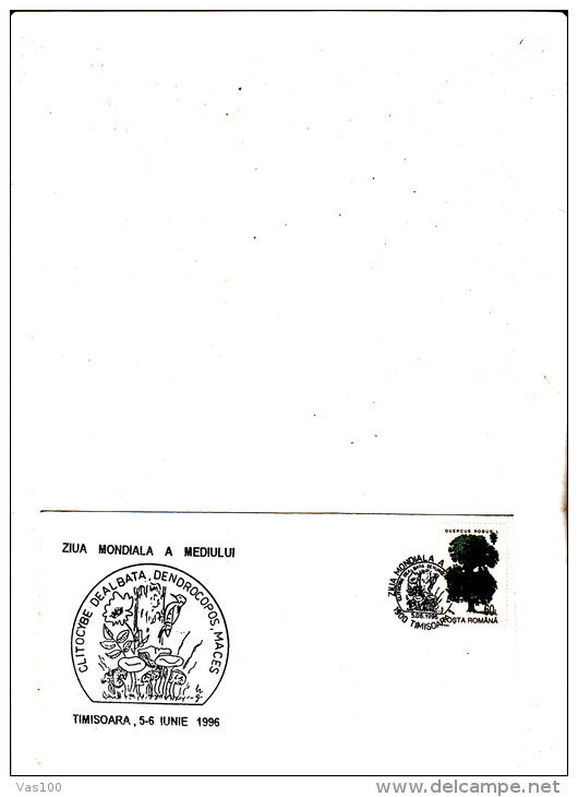 WOODPEKER BIRD,MUSHROOMS,World Environment Day,COVER SPECIAL OBITERATION 1996 ROMANIA. - Specht- & Bartvögel