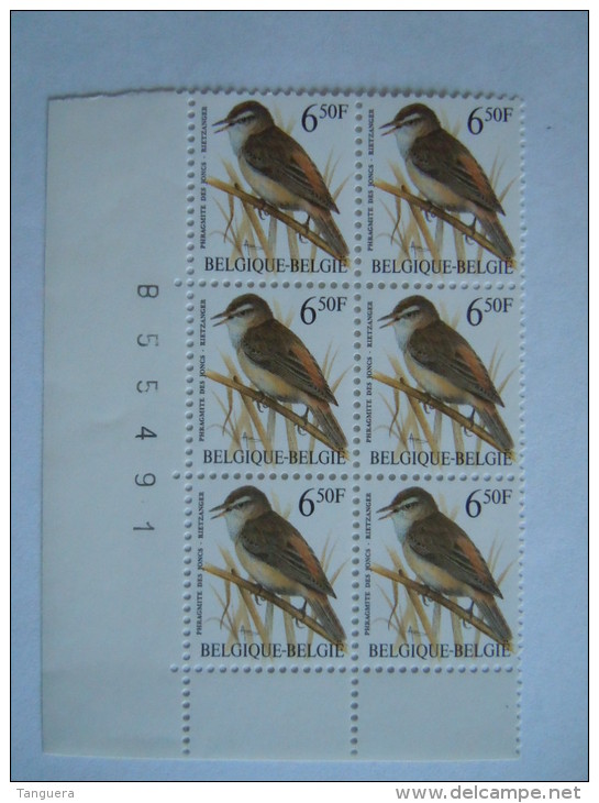 België Belgique Belgium 1994  Vogels Oiseaux Buzin Rietzanger Phragnite Bloc De 6 2577 Yv 2576 MNH ** - 1985-.. Vogels (Buzin)