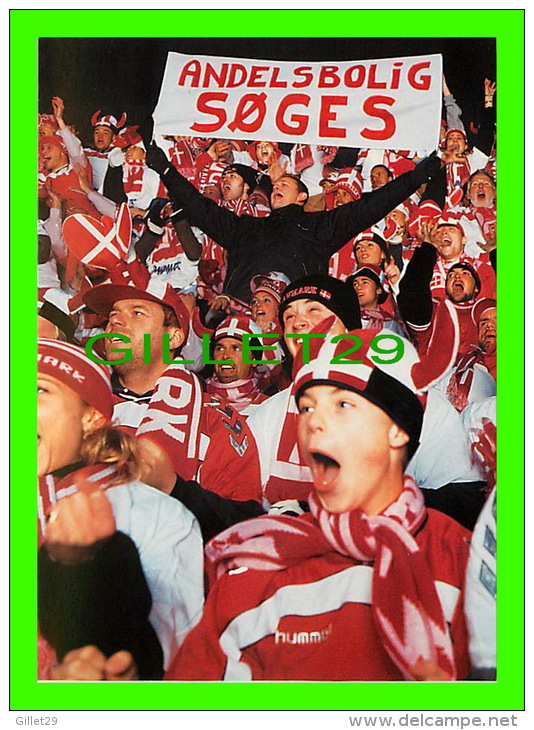 SPORTS HIVER - ANDELSBOLIG SOGES - DER FINDES EN BEDRE MADE - - Sports D'hiver