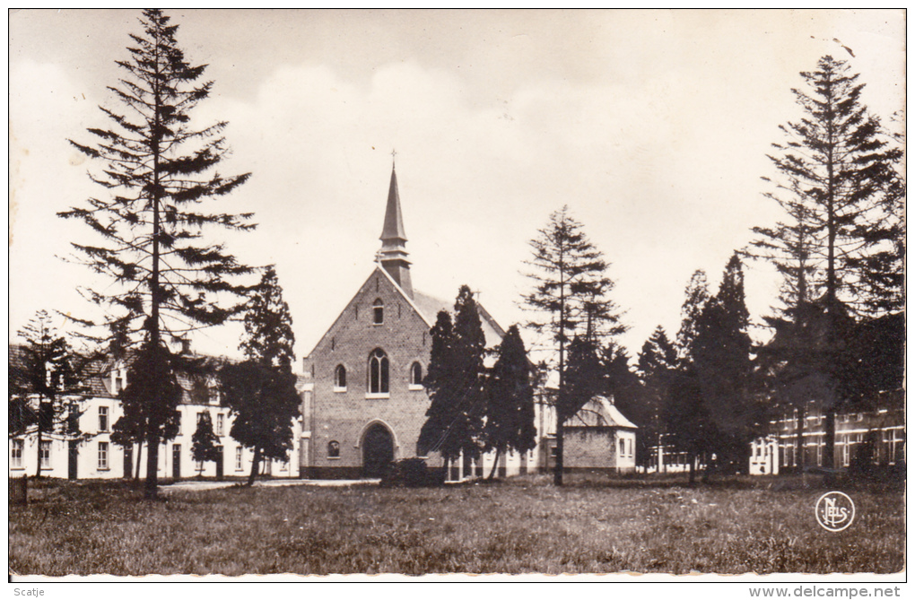 Termonde -  Eglise Du Béguinage,  Reconstruite En 1928 - Dendermonde