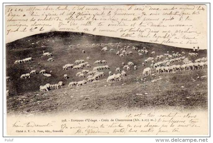 URIAGE - Croix De Chamrousse  Paturages - Trouprau   (61699) - Uriage