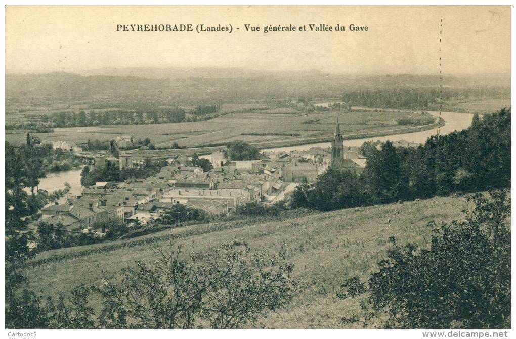 Peyrehorade  Vue Générale Et Vallée Du Gave  Cpa - Peyrehorade