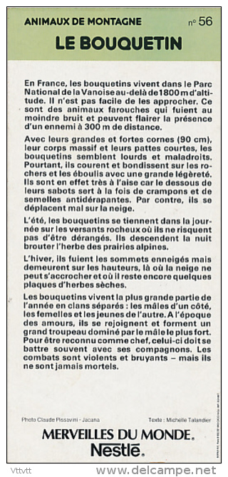 Fiche Cartonnée, NESTLE "Merveilles Du Monde", LE BOUQUETIN, N° 56, "Animaux De Montagne" - Chocolade