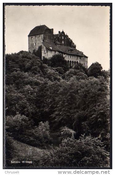 Wildegg Schloss - Wildegg