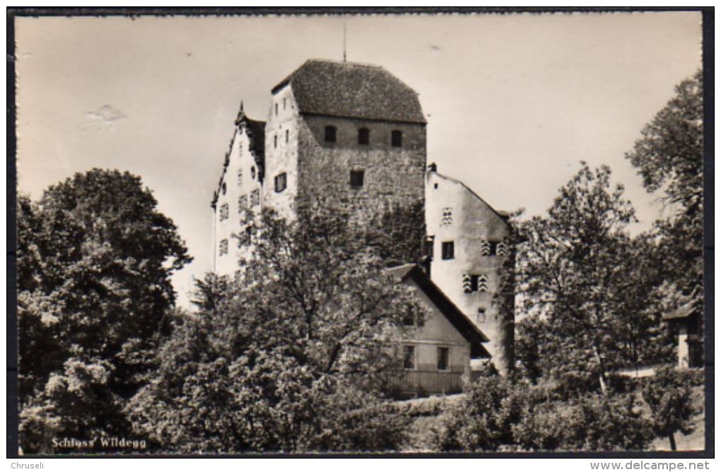 Wildegg Schloss - Wildegg