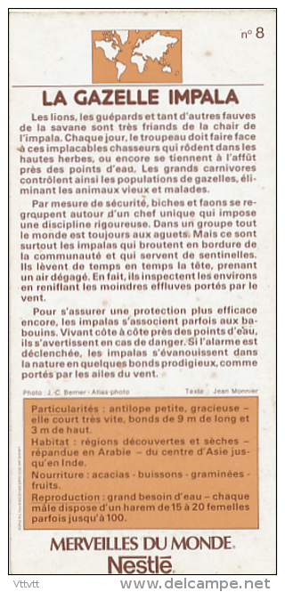 Fiche Cartonnée, NESTLE "Merveilles Du Monde", LA GAZELLE IMPALA, N° 8 - Chocolate