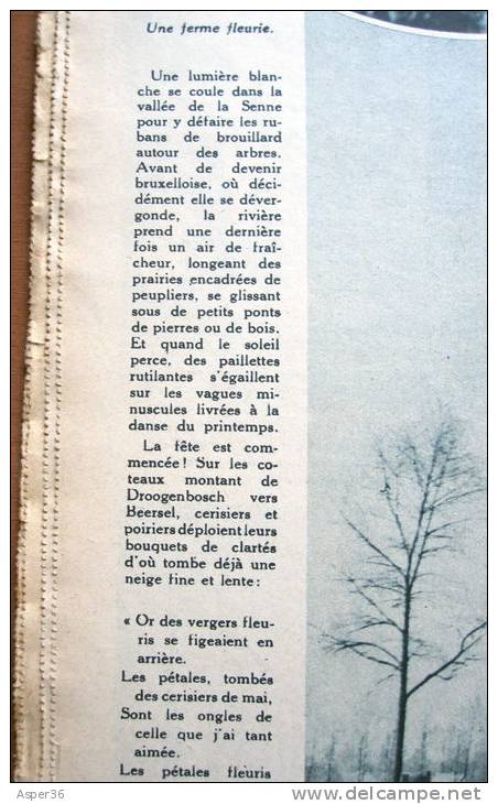 Magazine Avec Article "Beersel" 1939 - Sammlungen