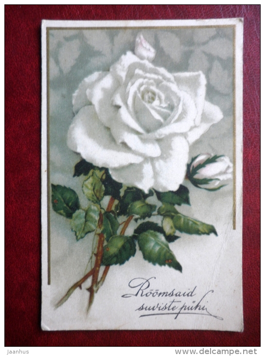 Pentecost Greeting Card - White Rose - Circulated In Estonia 1938 , Lelle - Used - Pinksteren