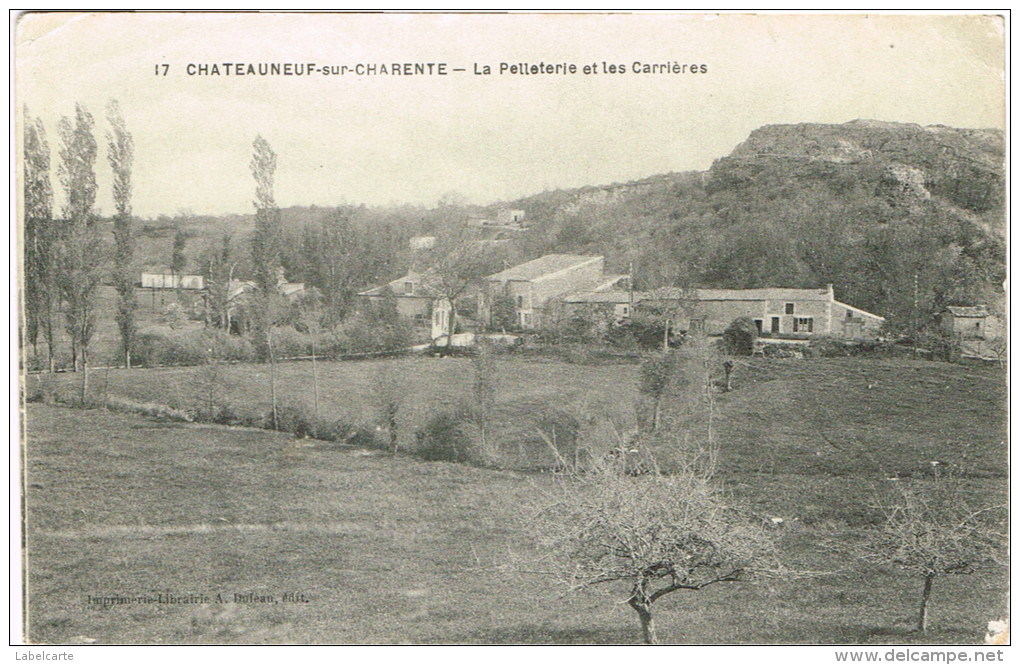 CHARENTE 16.CHATEAUNEUF SUR CHARENTE LA PELLETERIE ET LES CARRIERES - Chateauneuf Sur Charente