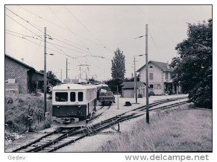 Chemin De Fer Bière-Apples-Morges, Train à Apples Gare, Photo 1963  BVA, BAM 150.9 - Autres & Non Classés