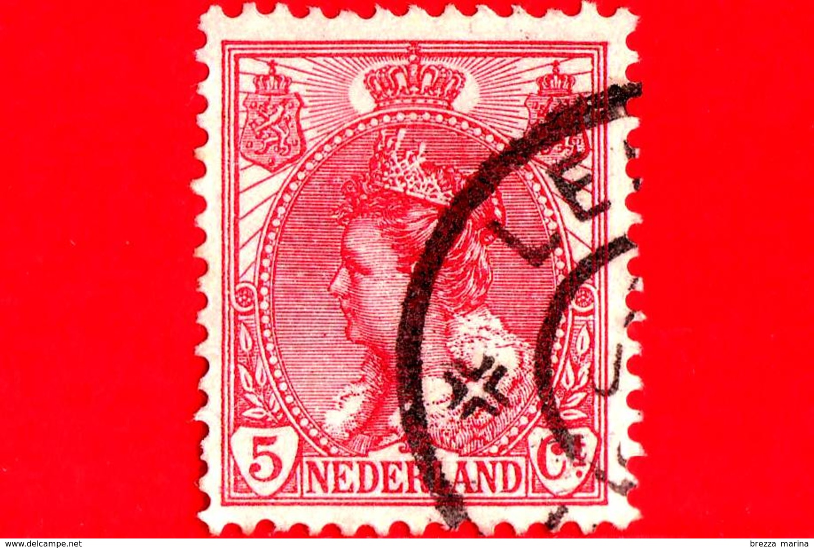 OLANDA - Usato - 1899 - Regina Guglielmina - Queen Wilhelmina (1880-1962) - 5 - Used Stamps