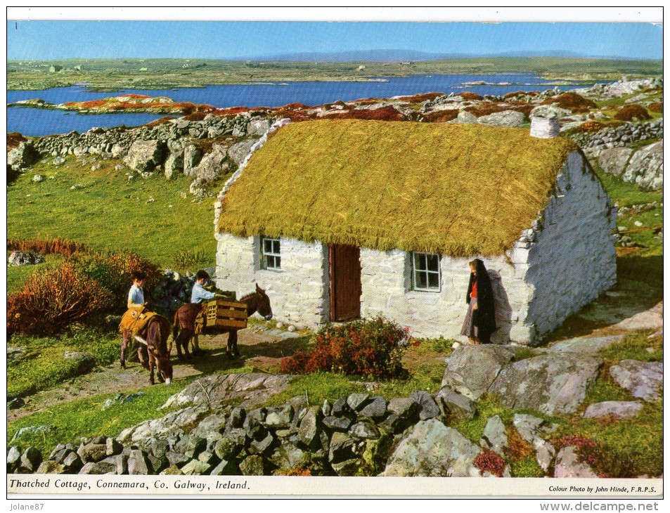 CPM   IRELAND    GALWAY   1964     THATCHED COOTAGE      ANES AVEC ENFANTS - Galway