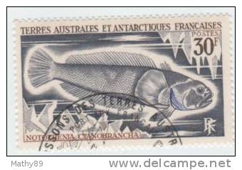 TAAF N° 38 YVERT  POISSONS  DIVERS - Used Stamps