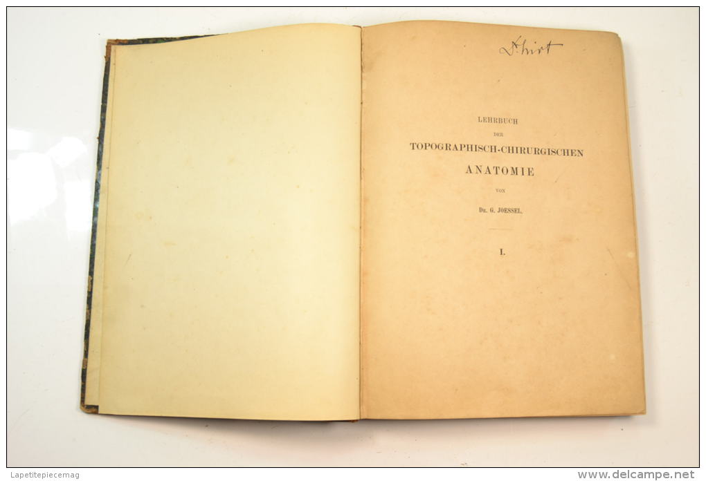 1884 Lehrbuch Der Topographisch-chirurgischen. Livre De Chirurgie, Terminaisons Nerveuses, Amputation. Medecin WW1 - Libri Vecchi E Da Collezione