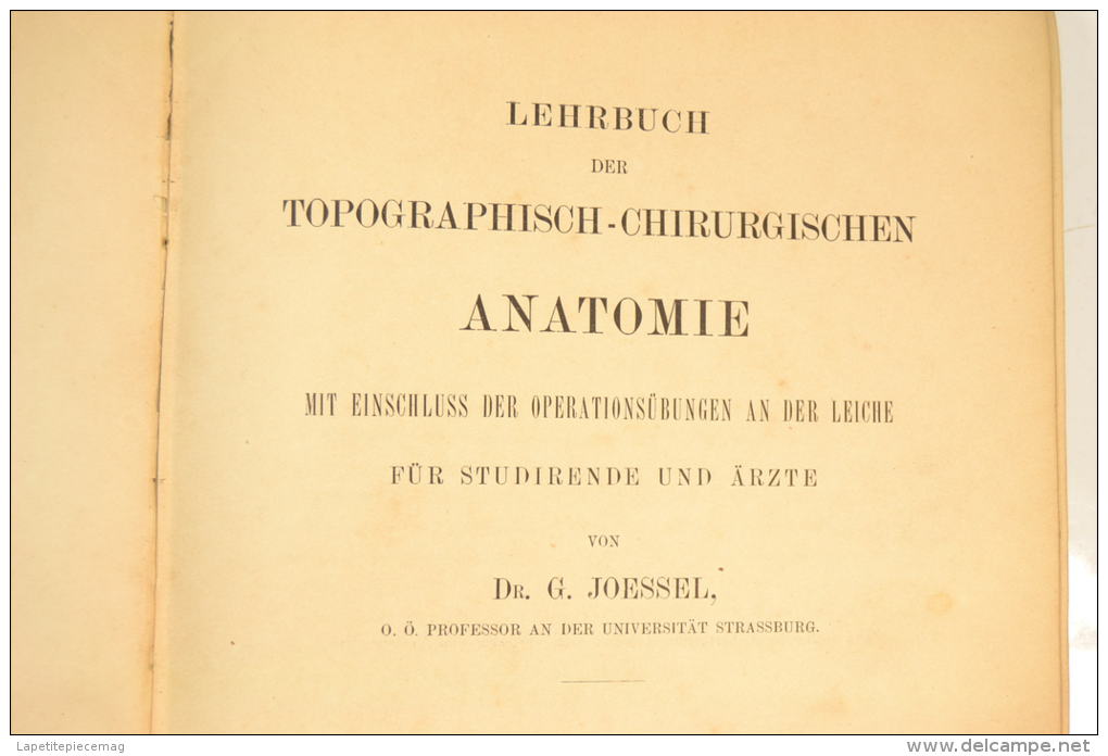 1884 Lehrbuch Der Topographisch-chirurgischen. Livre De Chirurgie, Terminaisons Nerveuses, Amputation. Medecin WW1 - Libri Vecchi E Da Collezione