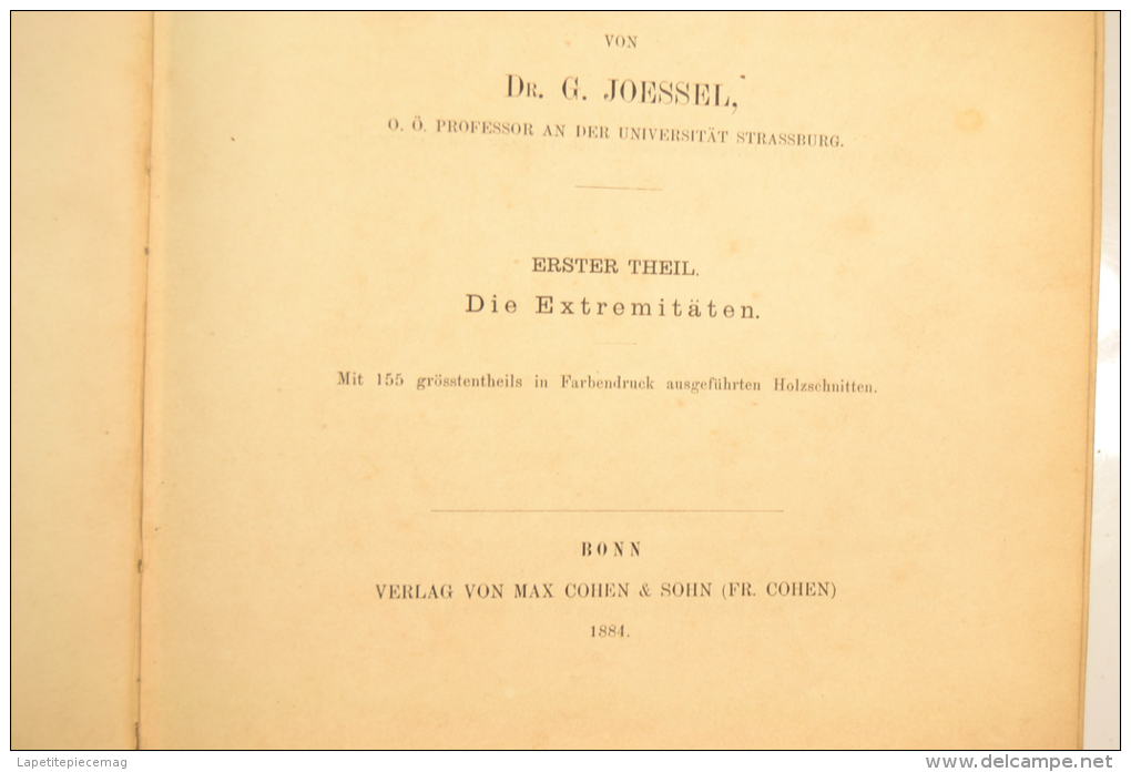 1884 lehrbuch der topographisch-chirurgischen. Livre de chirurgie, terminaisons nerveuses, amputation. Medecin WW1