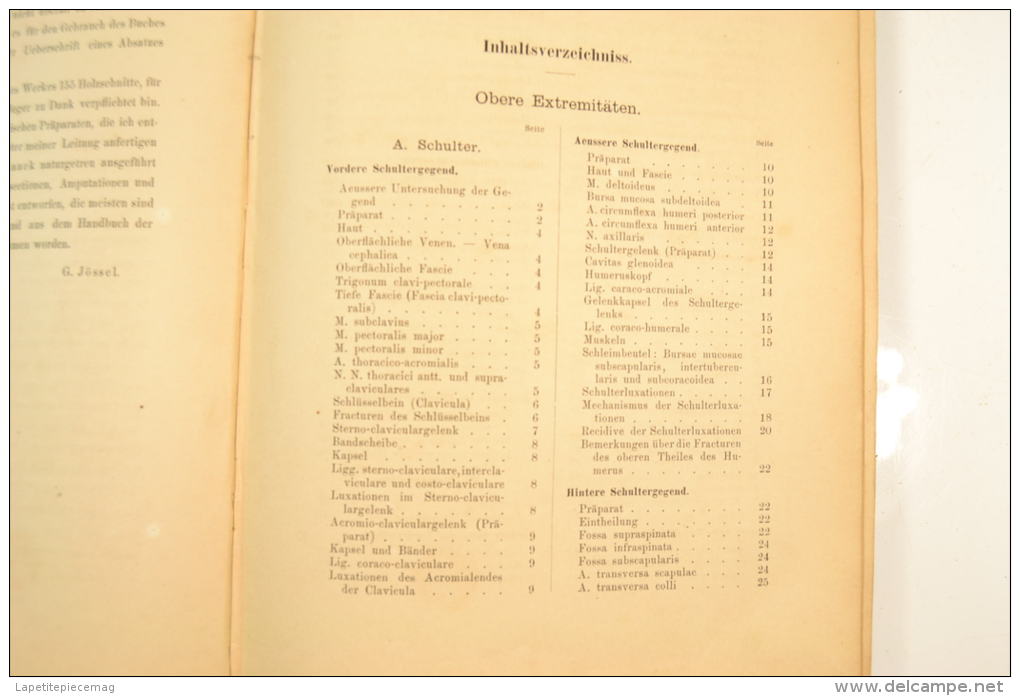 1884 lehrbuch der topographisch-chirurgischen. Livre de chirurgie, terminaisons nerveuses, amputation. Medecin WW1